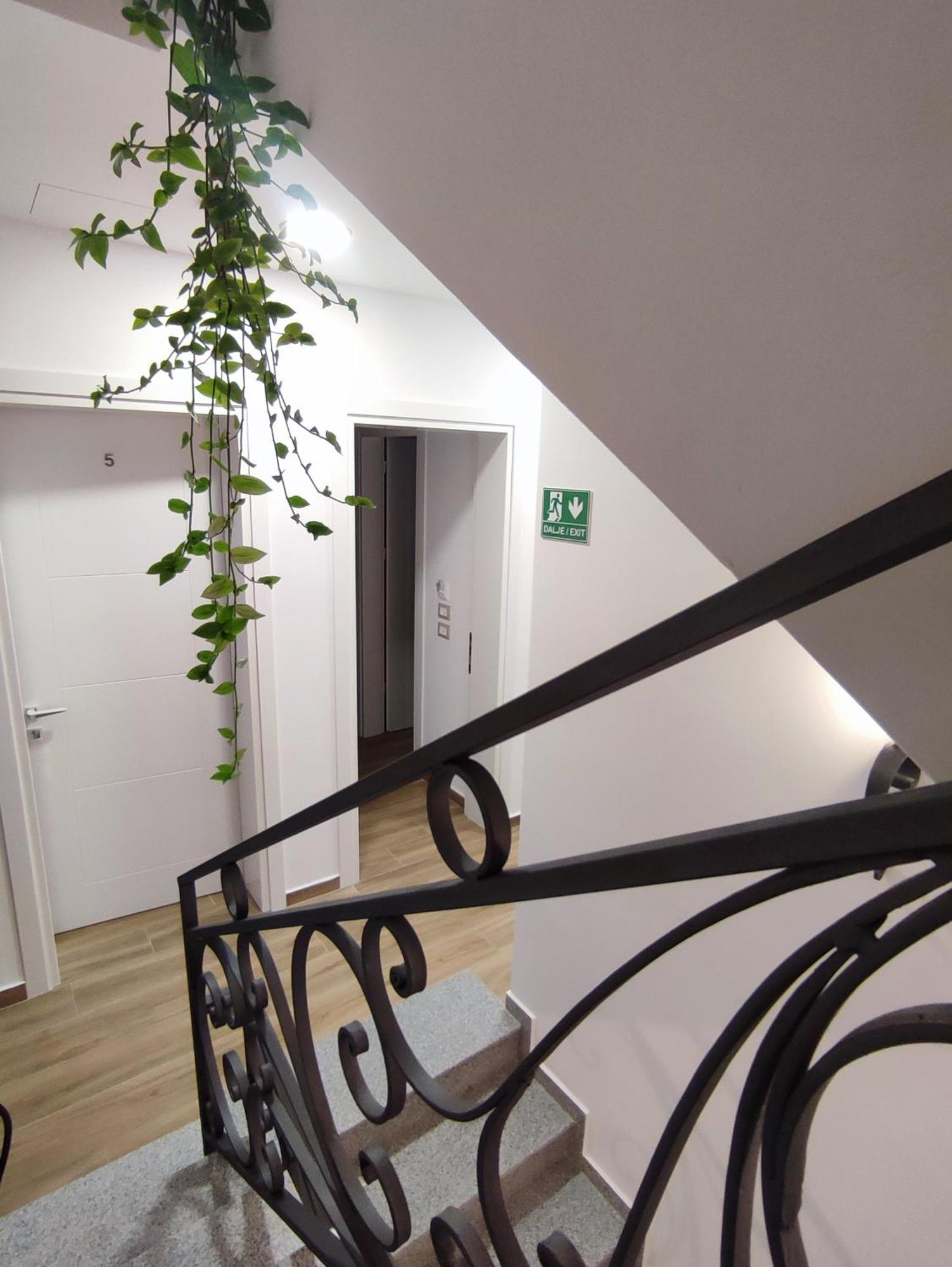 Hotel Paja 3*